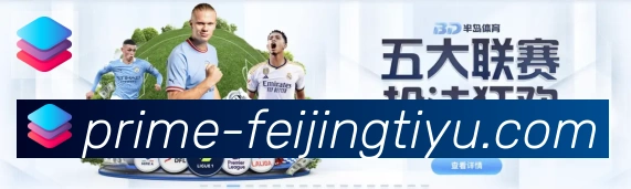 未来规划